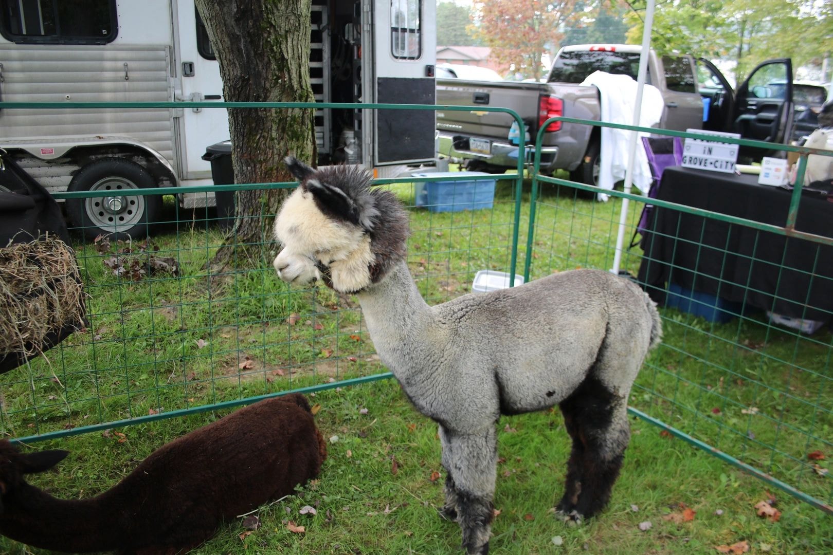 Vendor booth at the 2025 Lake Latonka Fall Festival