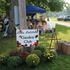 Craft fair vendors at the 2025 Lake Latonka Fall Festival